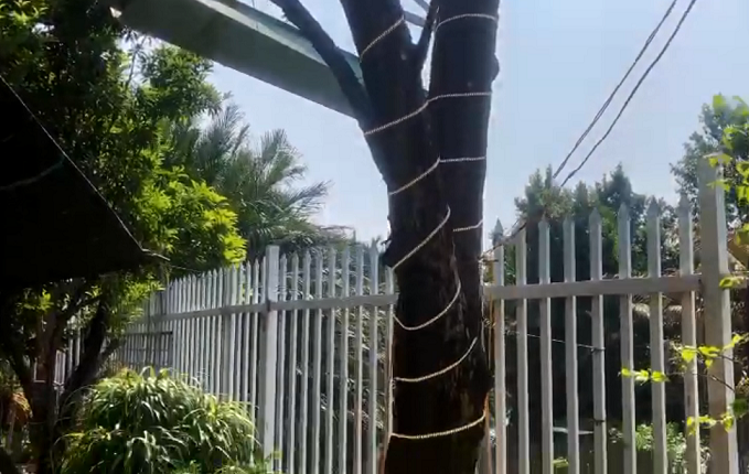 Đèn LED dây ngoài trời